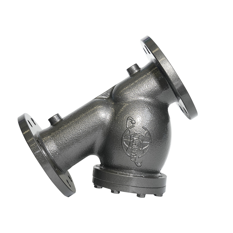 PN16 DN50/DN80 FLANGED STRAINER Y-TYPE Besi Y-